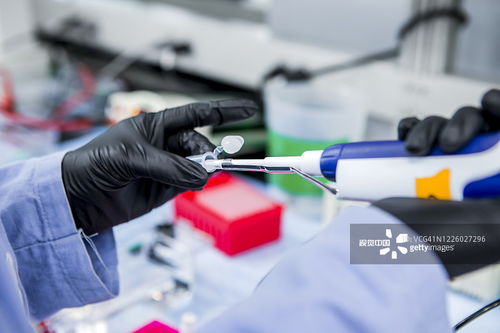 攝影圖片與攝影攝像服務 捕捉生活，定格永恒