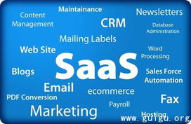 新西蘭告別軟件專利 創(chuàng)新生態(tài)的新篇章